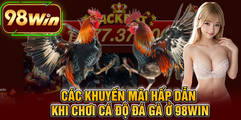 Các Khuyến Mãi Hấp Dẫn Khi Chơi Cá Độ Đá Gà Ở 98WIN